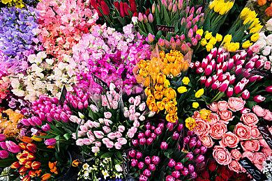 《星球大战：亡命之徒》27分钟超长实机演示